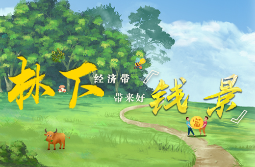 长图 | 林下经济带 带来好“钱景”