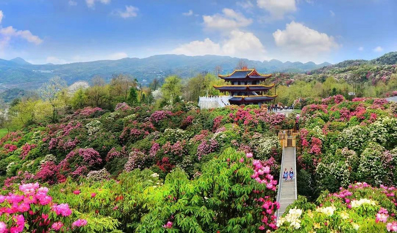 贵州银行支持的旅游产业项目。