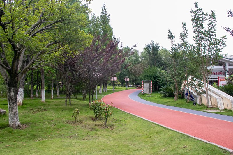 德溪湿地公园 (6)
