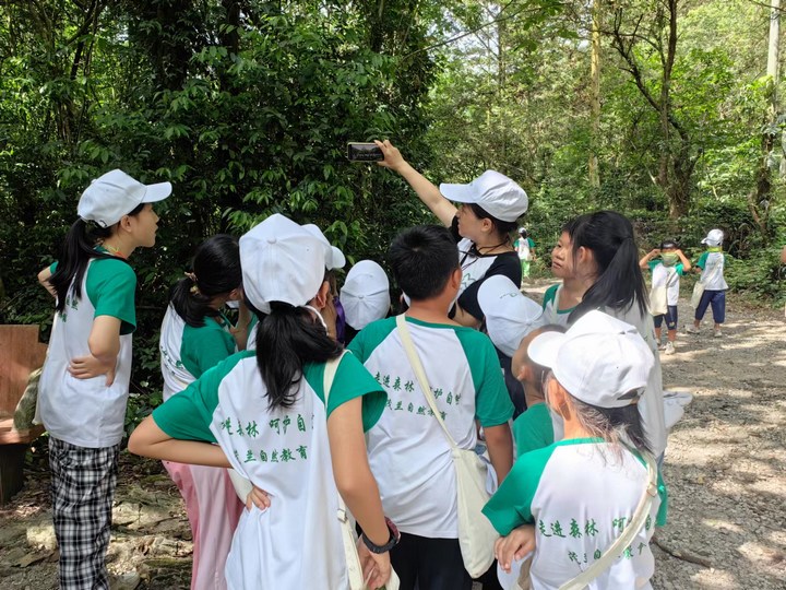 森林游学。