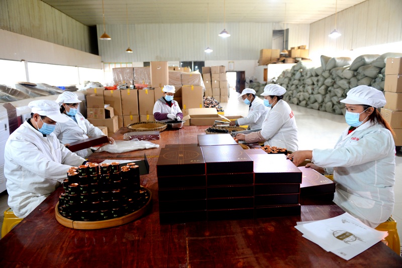 工人们长在红魅茶业公司里包装茶叶.JPG