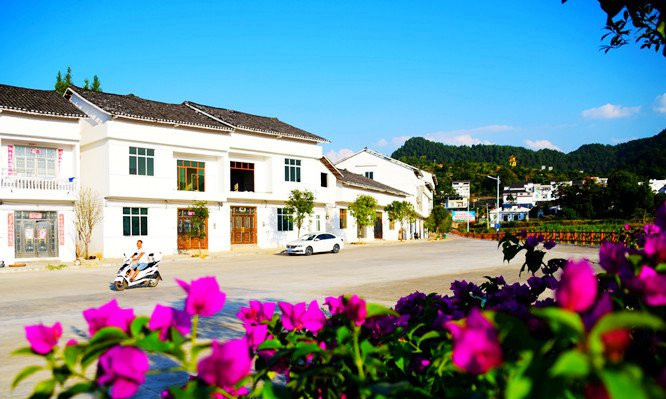 青杠坝村。