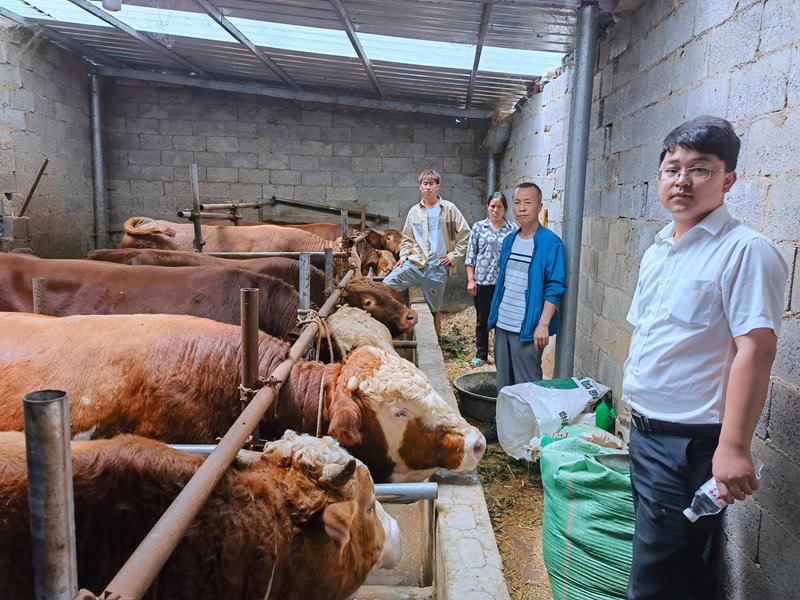 工作人员到养殖场开展现场走访及调研，了解养殖户融资需求。