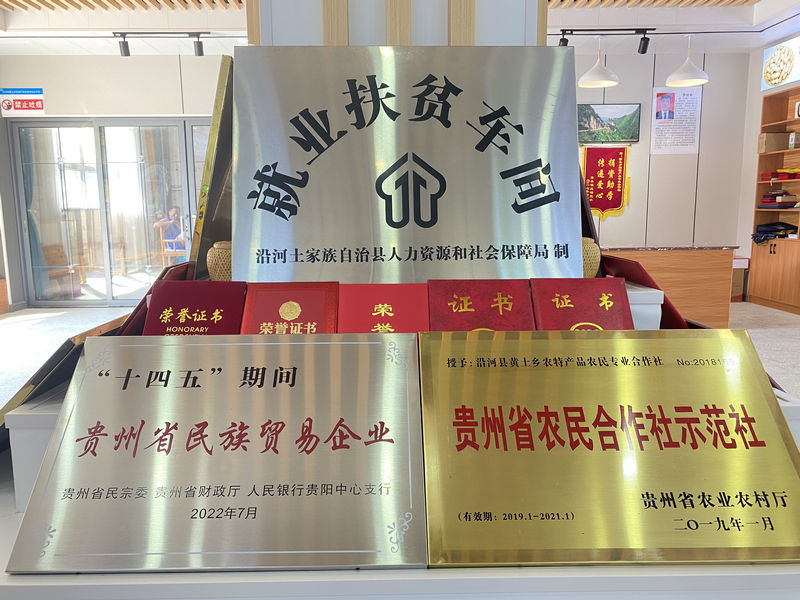黎仕斌创立合作社所取得的的成就。
