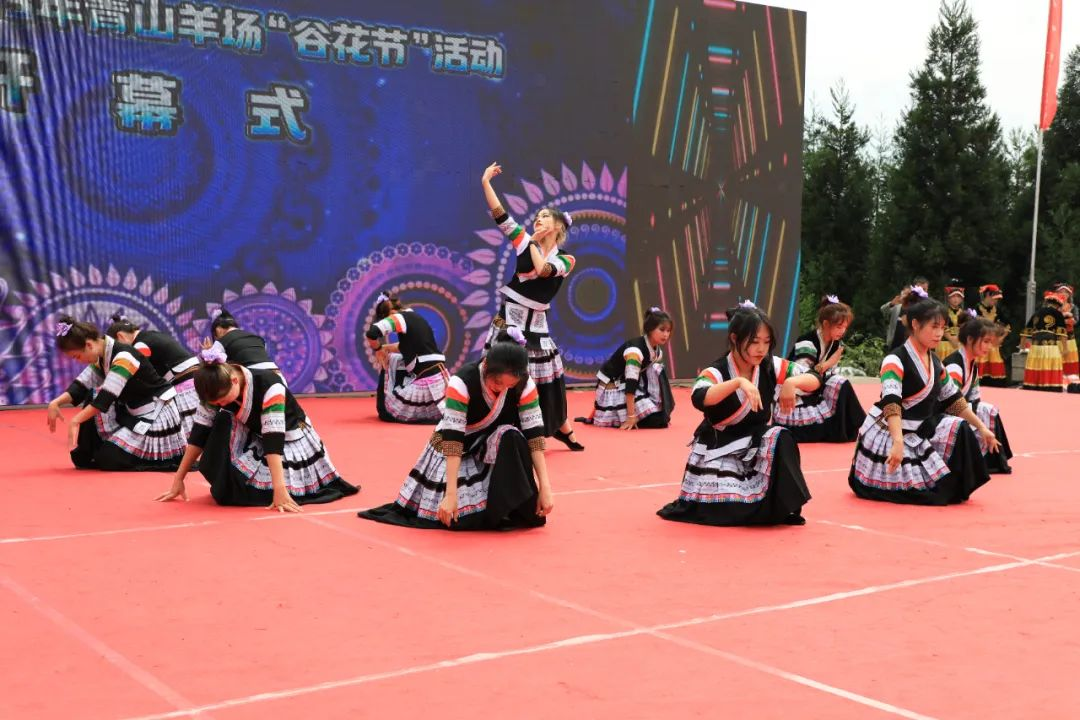 民族舞蹈表演。