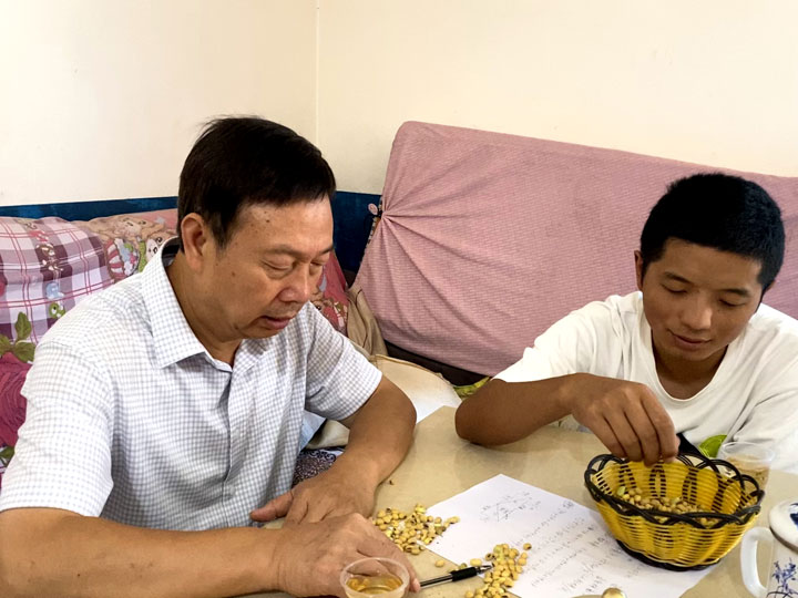 大豆比对。刁苓沙摄