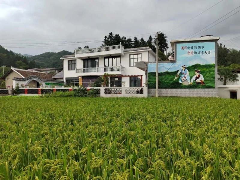 昆寨鄉新民村吉貴緣民宿.jpg