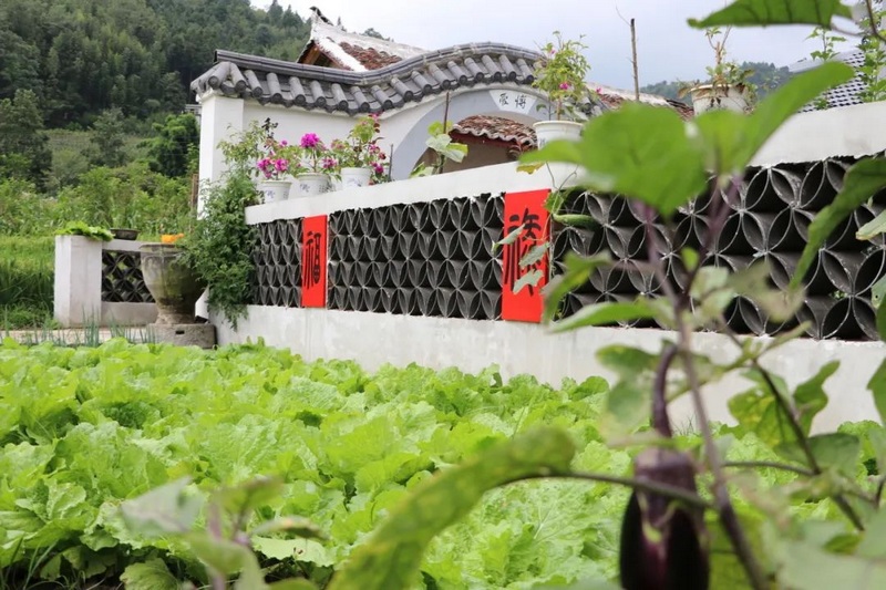 昆寨鄉新民村吉貴緣民宿菜園.jpg