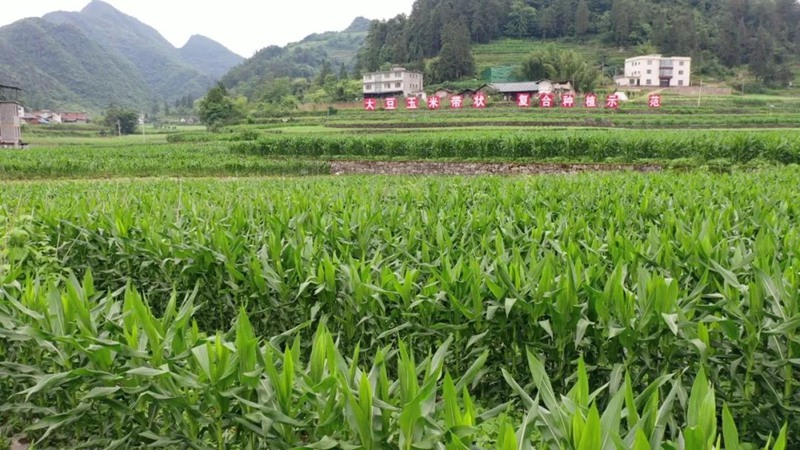 6、种植基地。