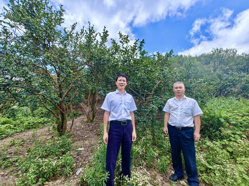 工行兴义册亨支行走访册亨县油茶果种植基地。