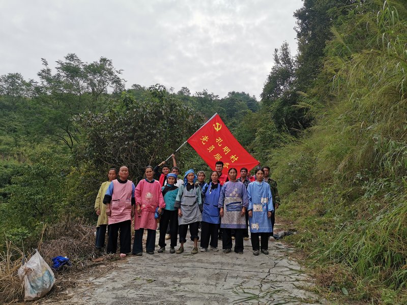 孔明村成立党员志愿服务队。