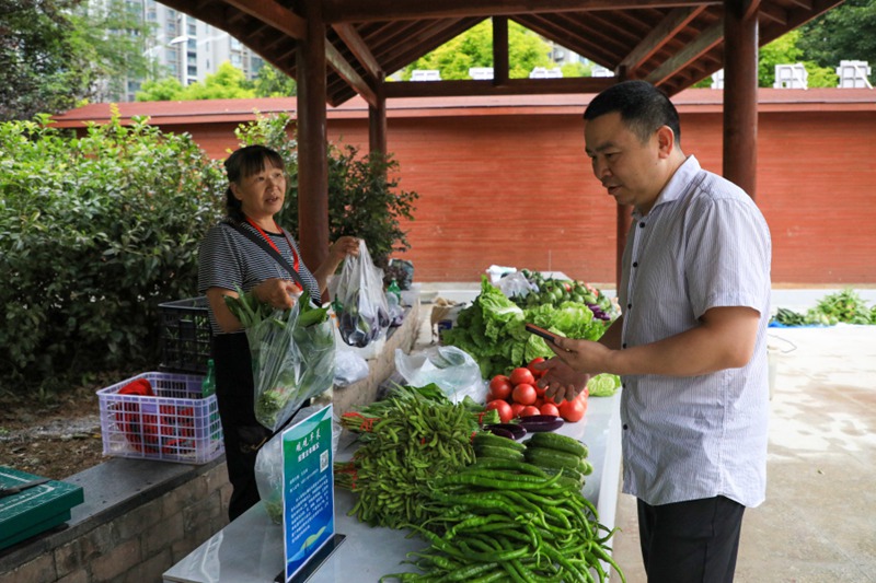 市民在“观观早菜”市场购买蔬菜。