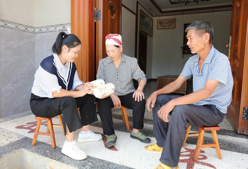 2023年9月6日，王静（左一）上门给当地农户传授蘑菇种植技术。