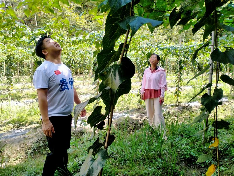 石登蘭（右一）與豐裕村黨支部書記江滋碧在基地查看產業情況。