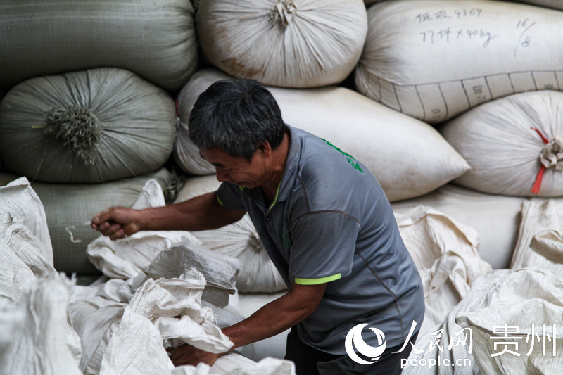 在宏源公司生產加工車間，王老伯正在打包成品茶。人民網 王秀芳攝