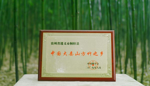 桐梓县具有“中国大娄山方竹之乡”的金字招牌。令狐程邻摄