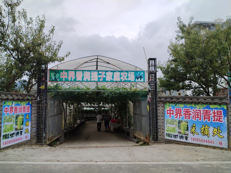 香润提子家庭农场.jpg