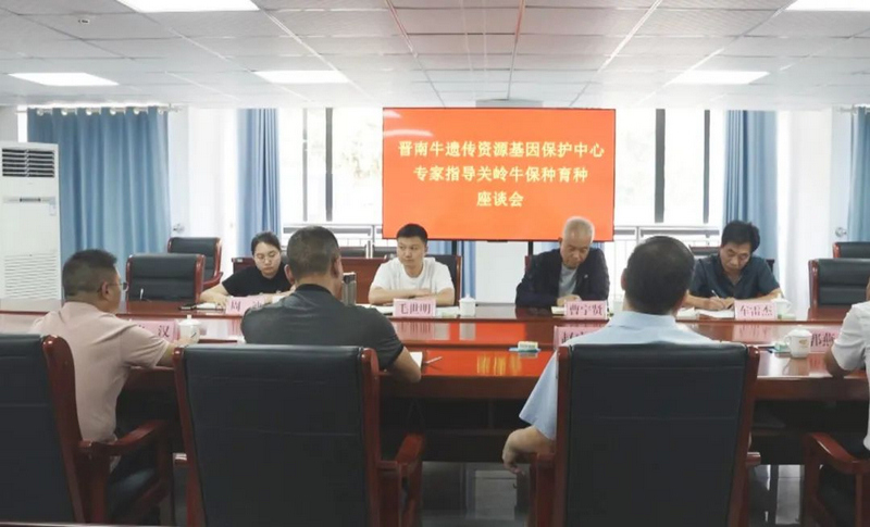 座谈会现场。