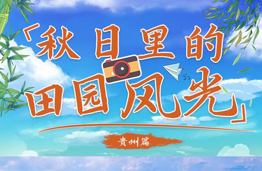 贵州丰收季 | 田园金黄绘“丰”景