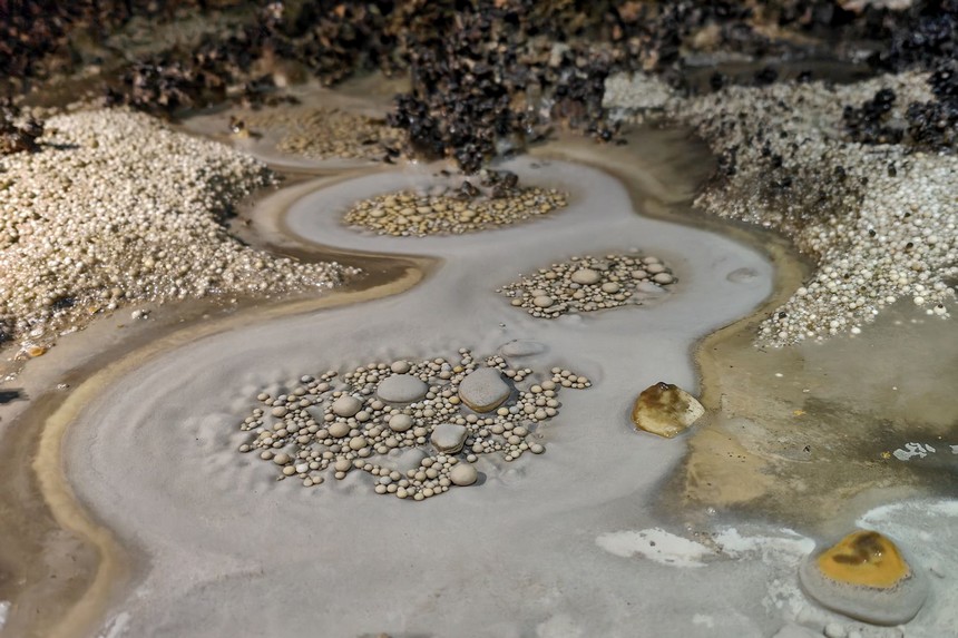 貴州綏陽雙河洞內最新發現的“穴珠”。貴州省山地資源研究所供圖