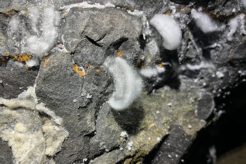 貴州綏陽雙河洞內的石膏結晶。貴州省山地資源研究所供圖