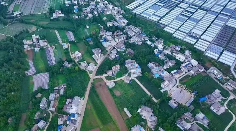 鬆山村村貌。