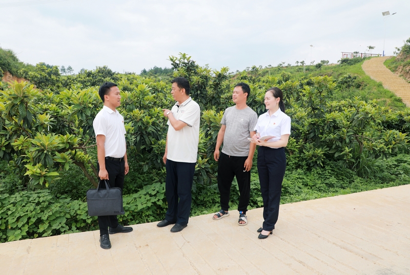 插图1：邮储银行黔东南州分行客户经理走访台江县革一镇革一村枇杷种植基地。