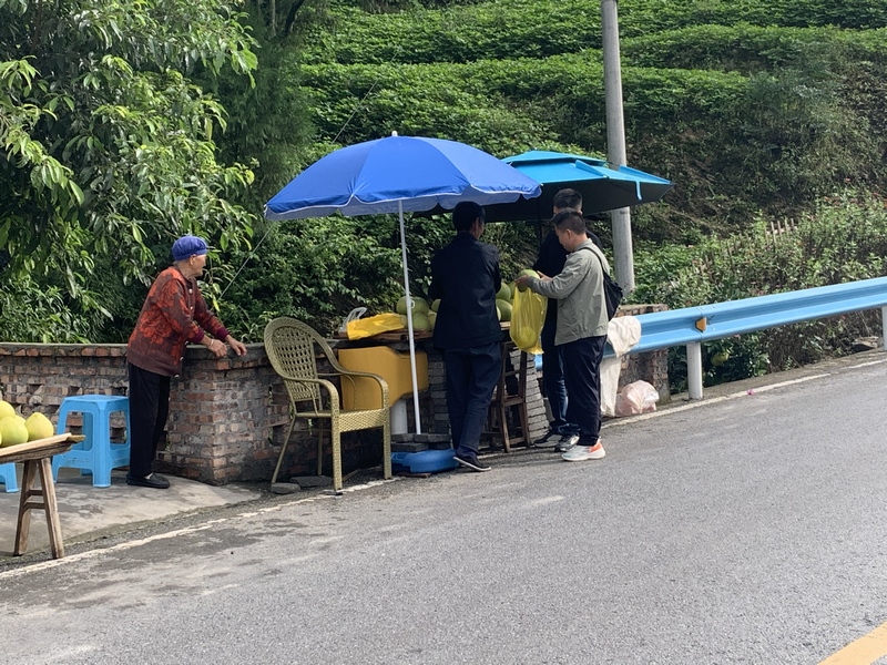 馬路邊農戶搭建蜜柚臨時售賣點。 陳強攝