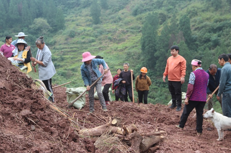 村民翻整地塊，為油菜苗移栽做准備工作。王燁 攝