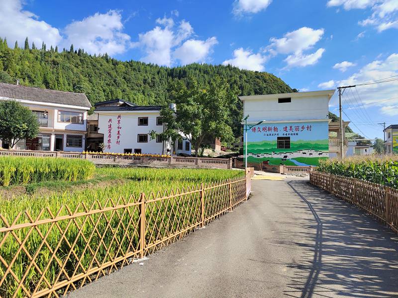 宜居农房试点村。