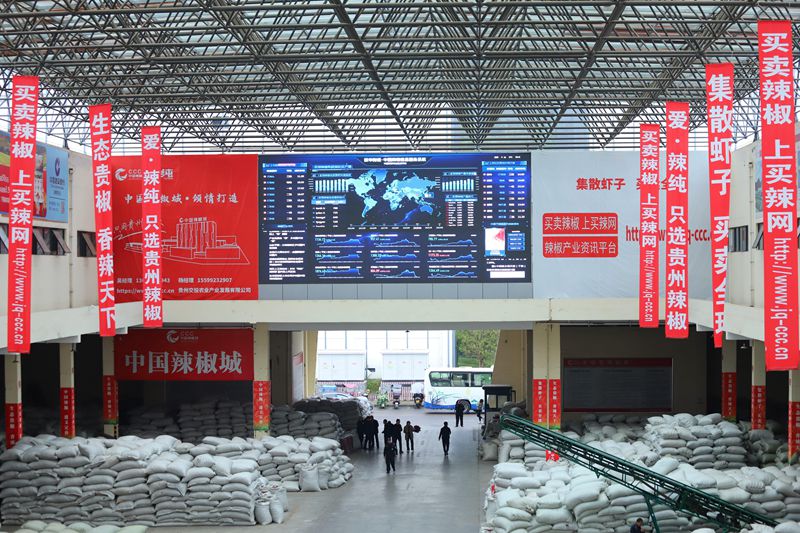 中国辣椒城交易市场大屏幕滚动辣椒价格资讯。顾兰云摄