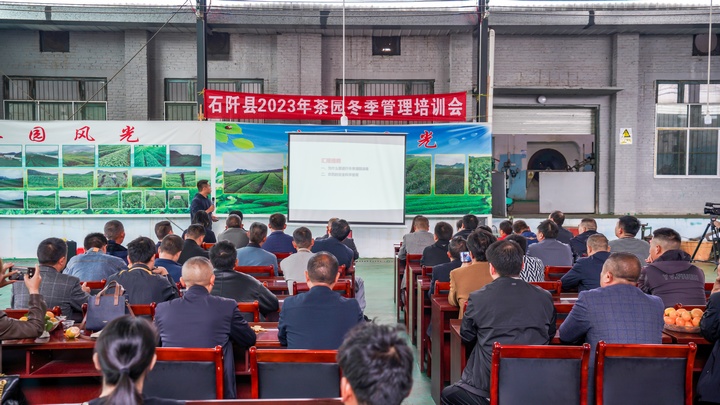 石阡县2023年茶园冬季管理培训现场教学。