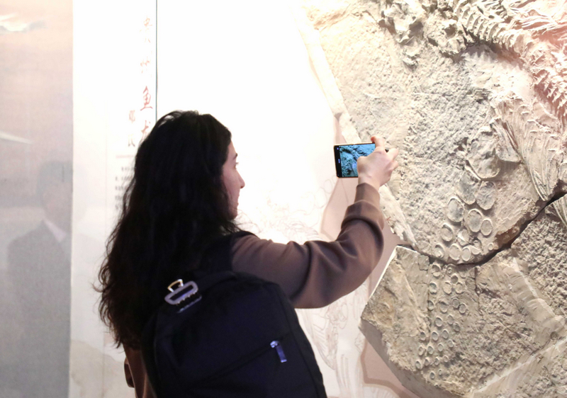 欧亚国家媒体记者拍照记录贵州鱼龙化石。