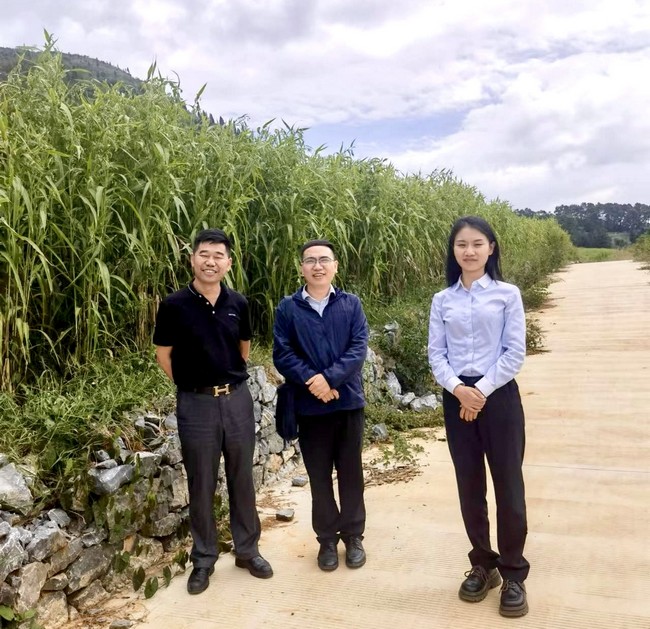 工行兴义兴仁支行实地走访兴仁市薏仁米种植基地。