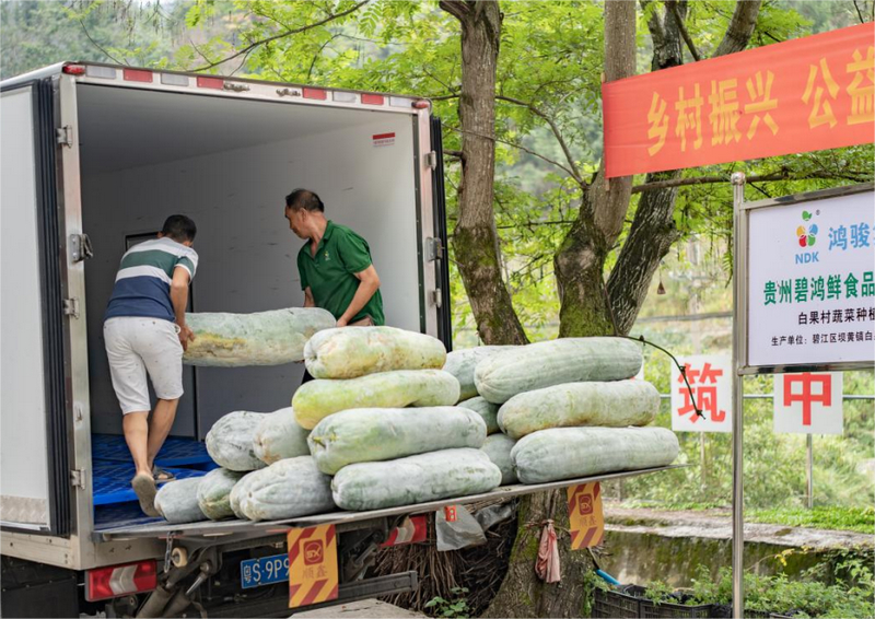 通过家庭农场建设，打造我在贵州有个“蔬菜园”。