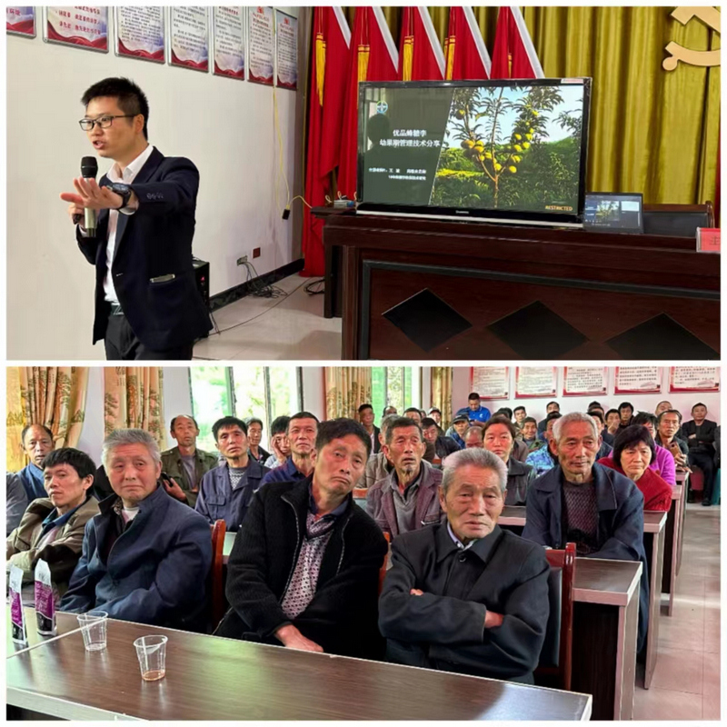 图为：邀请专家到花山村对种植户进行蜂糖李种植技术培训。