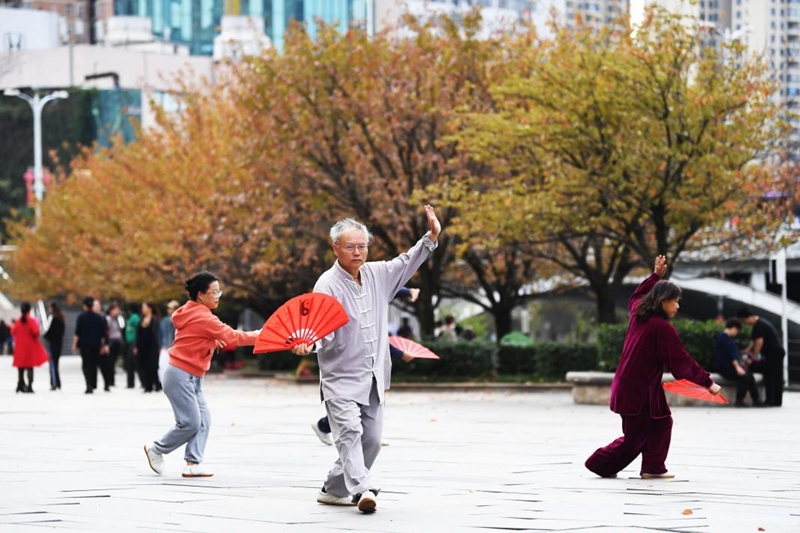 初冬景如画。