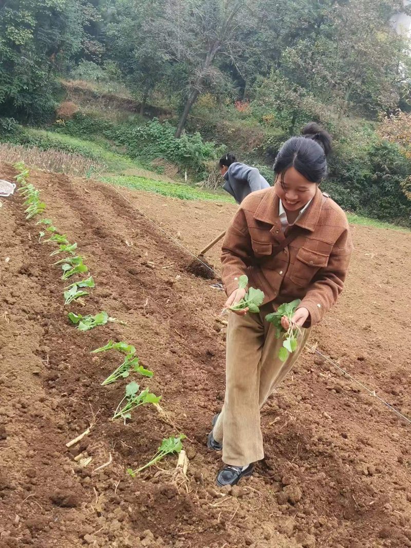 图为：农技人员到田间指导村民种植油菜
