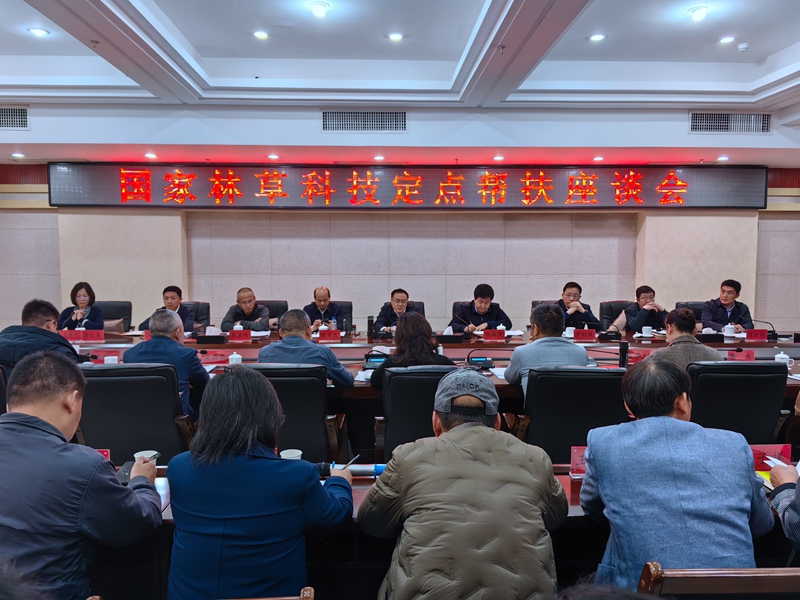 座谈会现场。