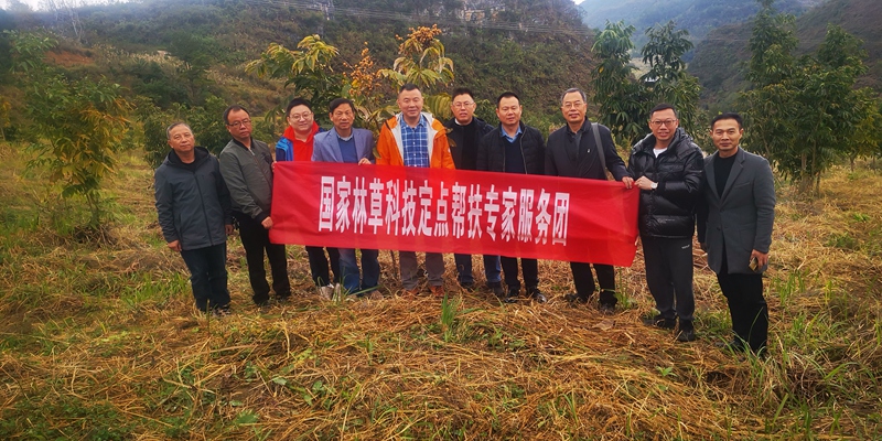 专家服务团现场留影。