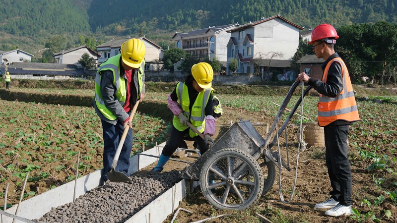 圖為農田建設中。