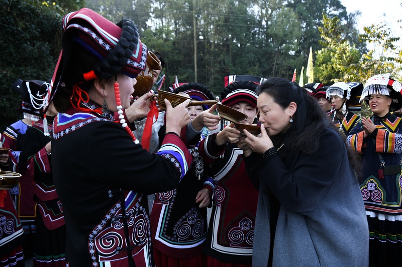 11月19日，在百里杜鹃管理区迎丰村，村民为前来参加彝族年的嘉宾送上拦门酒。李光辉摄
