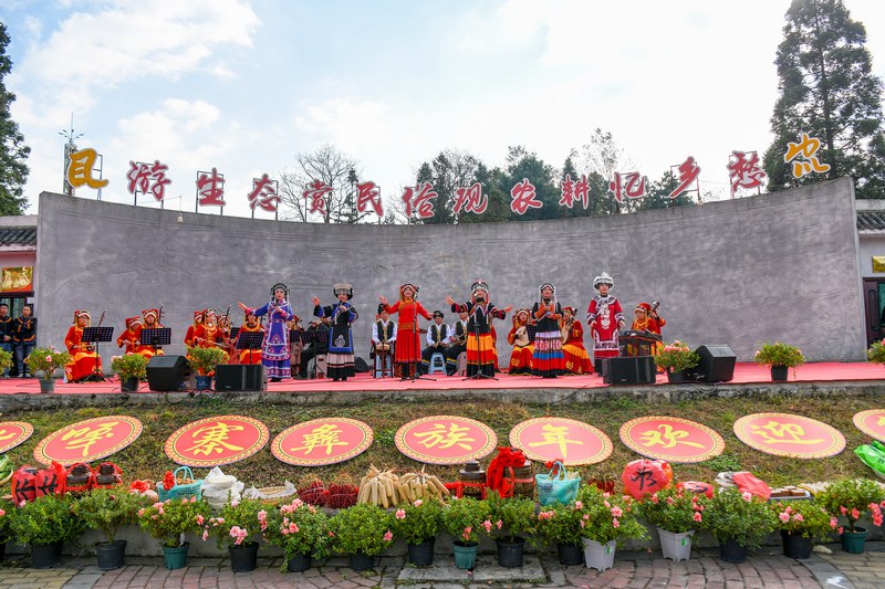 11月19日，在百里杜鹃管理区迎丰村，演员表演彝族歌舞。