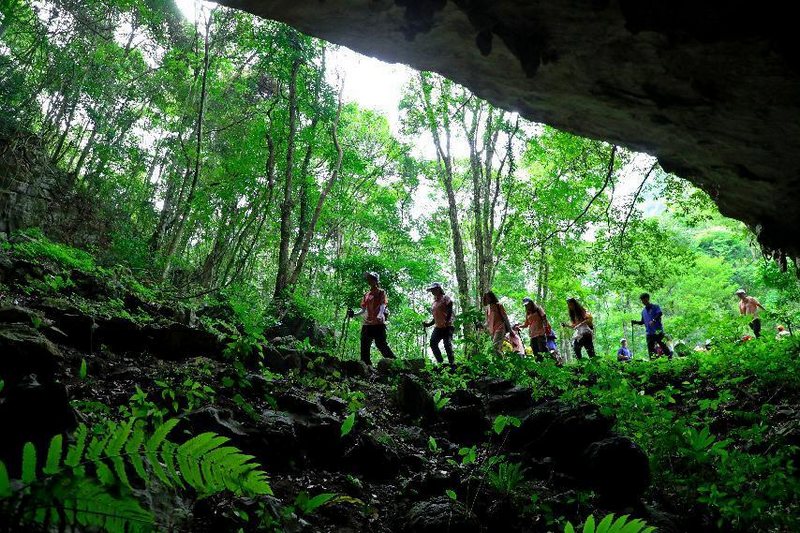 茂兰自然保护区。