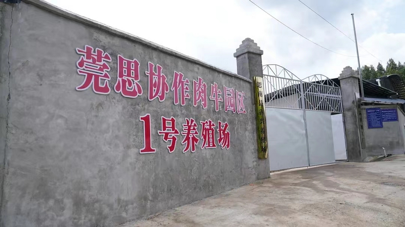 建成的肉牛园区。