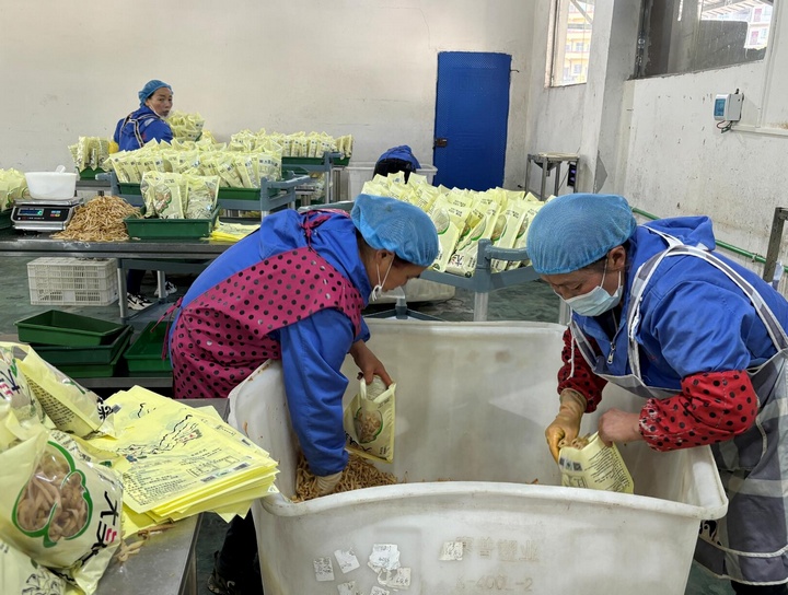 1、贵州老高山食品有限公司外包装车间，工人们各司其职，在各自的岗位上称秤、包装 。王洪娅摄