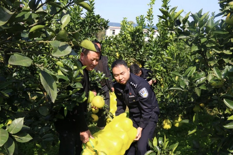 1 图为民警帮农户搬运水果。.jpg