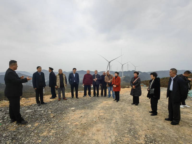 部分副县级以上老干部在顶董坡听取风力发电项目建设及运营情况讲解。谭文斌摄