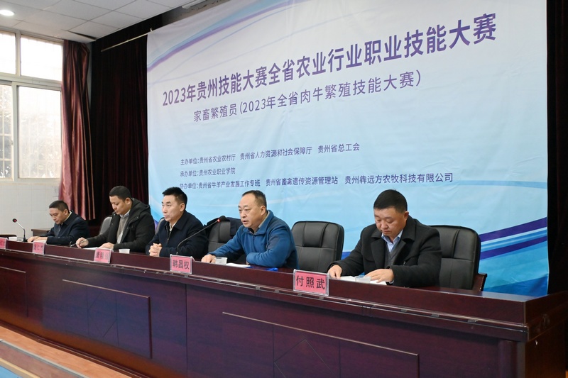 开幕式现场。林晓摄