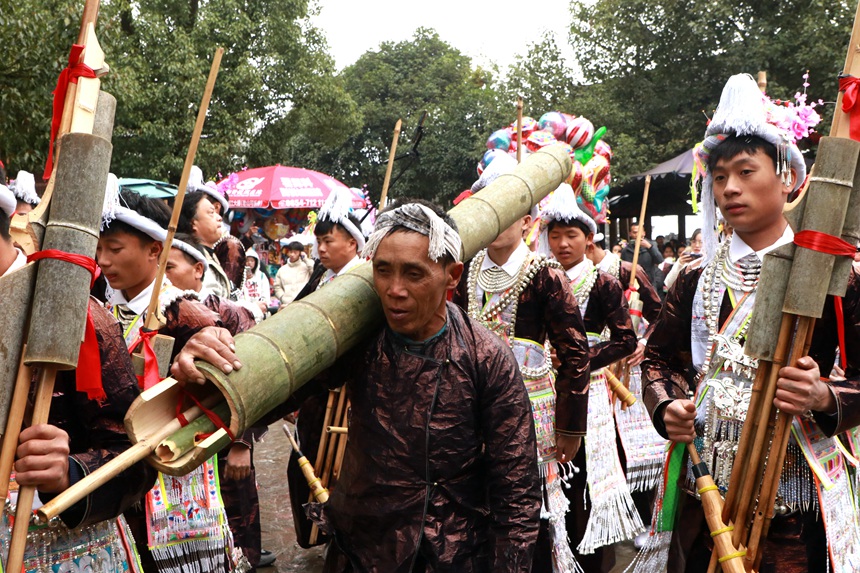 苗族同胞扛着芦笙一同庆祝芦笙节。